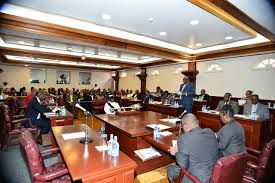 skn national assembly