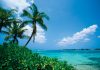 The Bahamas