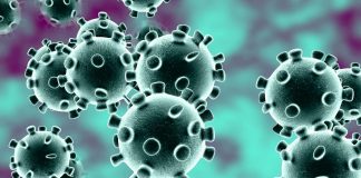 Barbados records 167 new COVID-19 cases on island