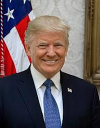 Donald Trump suggests delay to 2020 US presidential election Donald Trump suggests delay to 2020 US presidential election