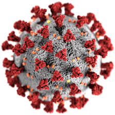 Five new COVID-19 cases recorded in Jamaica Five new COVID-19 cases recorded in Jamaica