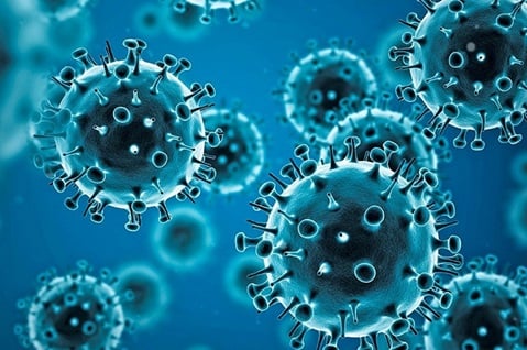 A total of 20 new cases of COVID-19 were confirmed in the Twin Island Federation of St Kitts and Nevis since the start of the week. A total of 20 new cases of COVID-19 were confirmed in the Twin Island Federation of St Kitts and Nevis since the start of the week.