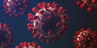 A total of eight (8) new infections of COVID-19 have been detected in St Kitts and Nevis since Sunday last week. On Sunday, August 7, two (2) new cases of Covid-19 were detected and confirmed in the federation of St Kitts and Nevis; the number increased with the addition of two (2) new cases of infection on Monday. On Tuesday, the number of new covid conditions increased by another five (5).