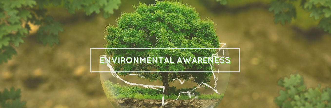 Trees are an essential part of the ecological system, both because of their absolute requirement for the well-being of the people and the environment as a whole and as a source of food and sustenance to many people of the world.