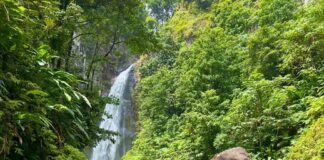 he Government of St Kitts and Nevis is working on strengthen and improve the Citizenship by Investment (CBI) Programme the nation offers for enhanced sustainability.