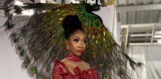 Dr Denzil Douglas, took to his Facebook account to share his gratitude to the runner-up of the National Carnival Queen Kahnein Blanchette. 