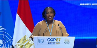 Joyelle Clarke adresses COP27, talks about difficulties faced by SIDS due to climate Change Image Courtesy: UNFCCC