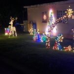 2nd christmas decor 2