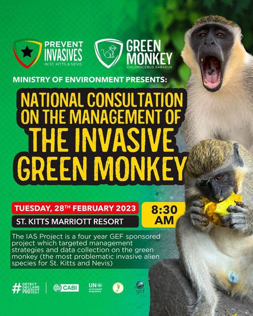 333791336_493501282819056_4167318091561547921_n Ministry of environment to host workshop to address problem of green monkeys