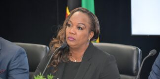 Minister Henderson unveiled tourism packages being offered to visitors during her appearance at PIX11 New York Living TV Show,image :facebook