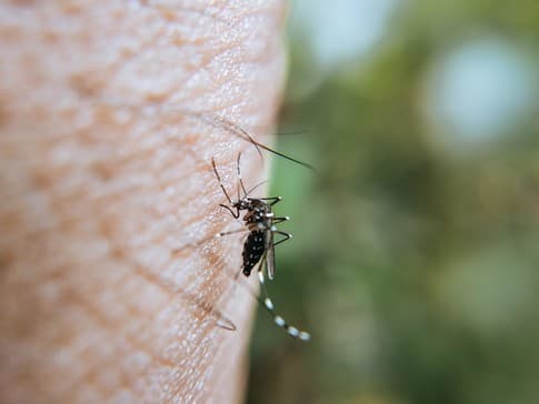391612566_709552327879675_6019095704020616960_n Dengue cases spikes in St Kitts and Nevis, Image: facebook