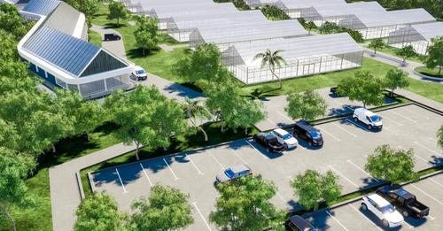 St Kitts and Nevis: Ministry of Agriculture to establish greenhouse village.,image: facebook St Kitts and Nevis: Ministry of Agriculture to establish greenhouse village.,image: facebook