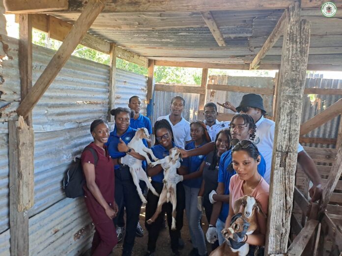 St Kitts Agriculture Dept welcomes CFBC students to perform Ambulatory Veterinary service