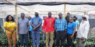 Samal Duggins with other officials during banana plaintain. (Credits: St.Kitts and Nevis Information Service - SKNIS, Facebook)