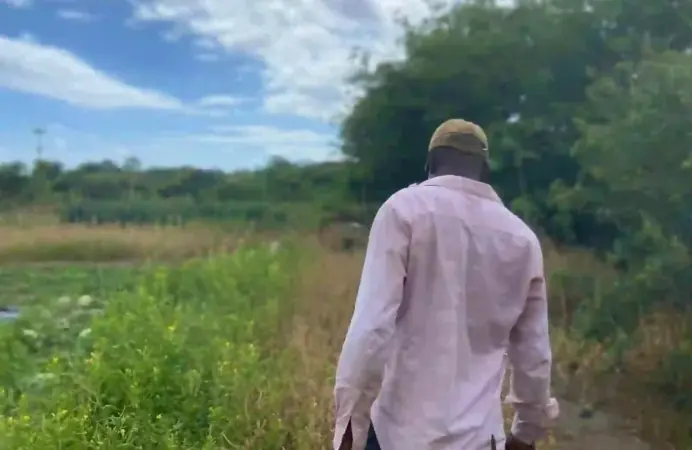 Minister Samal Duggins invited farmers to attend 25 by 25 Crop Production Workshops.' (Credits: Nevis Island, Facebook) Minister Samal Duggins invited farmers to attend 25 by 25 Crop Production Workshops.' (Credits: Nevis Island, Facebook)