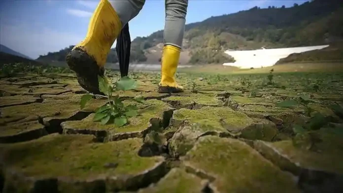 thumbs_b_c_ac966802561ca946e2f6f3c8683df6a9 Small Island Nations record major victory in climate struggle, win ITLOS case, Image: facebook