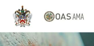 St. Kitts and Nevis is invited to submit Works of Art for the OAS AMA Permanent Collection. Credits: SKN Times.