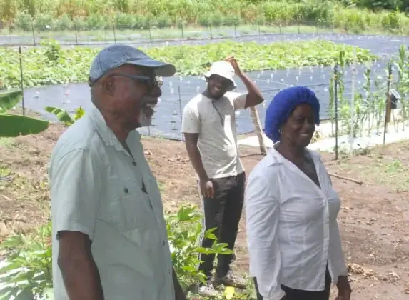 Iteana Pemberton, a crop farmer, shared updates on social media on a project’s progress assisted by the Department of Agriculture.