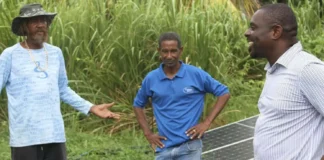 Samal Duggins leads Farm Tour, strengthens 25 by 25 Agenda of CARICOM. Credits: Facebook.