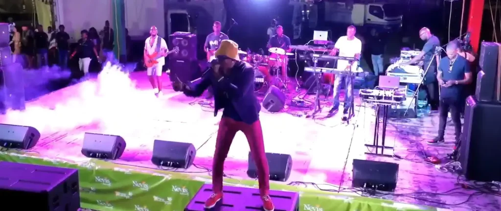 People grooved to the musical performances by renowned musicians and singers.