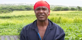 St Kitts Farmer benefits from crop productivity, contributes to 25 by 25 agenda. Credits: Facebook.