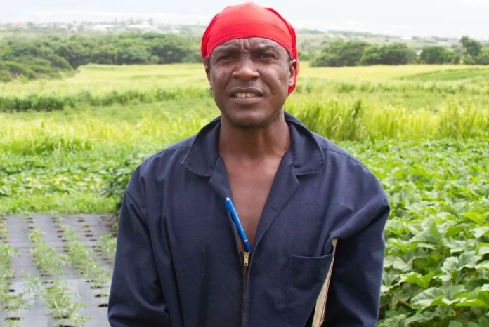 St Kitts Farmer benefits from crop productivity, contributes to 25 by 25 agenda. Credits: Facebook.