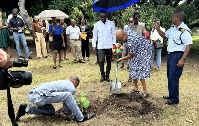 image (66) (1) St. Kitts Ministry of Agriculture launches Backyard Garden Initiative. Credits: Facebook.