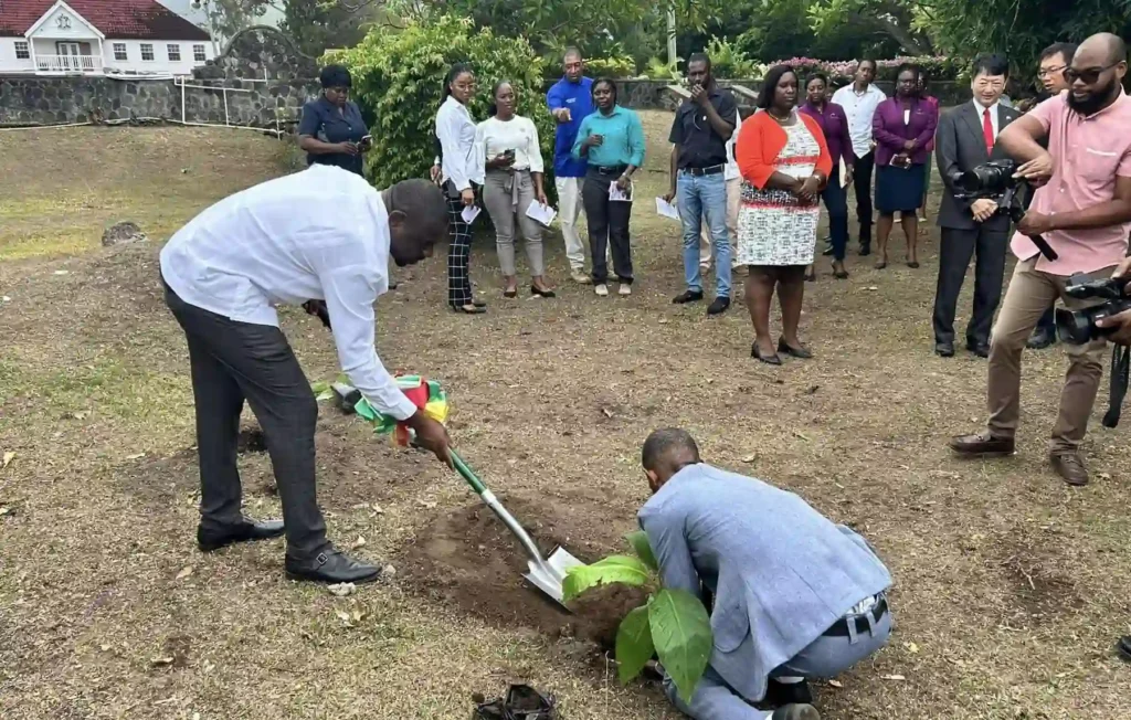 Glimpses from the site of the launch of 25 by 25 Backyard Garden Initiative and Tree Planting Ceremony. Credits: Facebook.