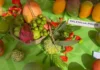 Nevis Mango Festival 2024 commences, Premier Brantley shares highlights. Credits: Facebook.