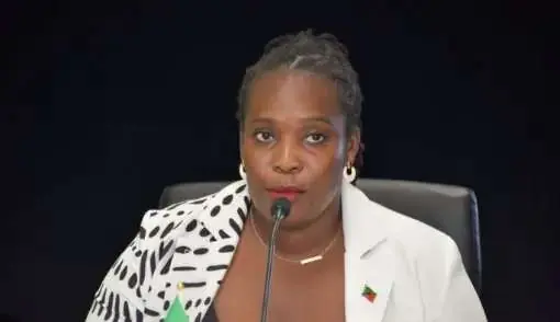image - 2024-08-06T144335.430 St Kitts and Nevis partners with CCCCC to ensure climate sustainability.