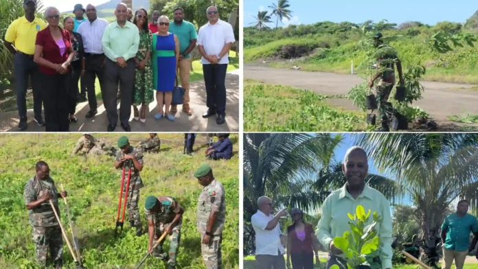 Untitled design St Kitts Annual National Tree Planting Day Concludes with Success.