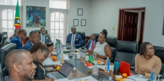Dalhousie University of Canada addresses SKN Federal Cabinet for Collaboration. Credits: SKNIS.