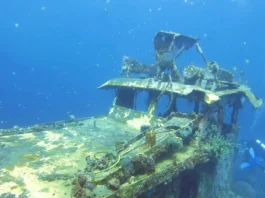 2026 Scuba Diving Readers’ Choice Awards