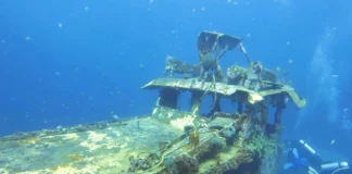 2026 Scuba Diving Readers’ Choice Awards
