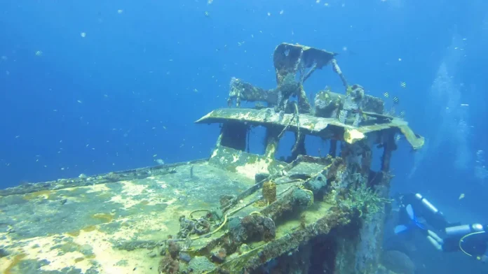 maxresdefault 2026 Scuba Diving Readers’ Choice Awards