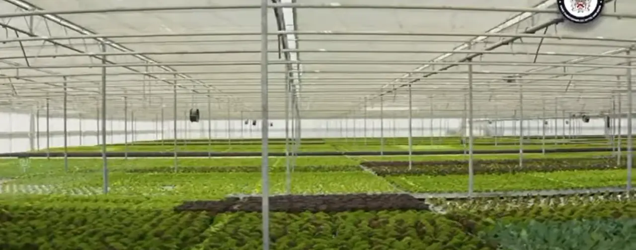 Government Pushes Forward with Greenhouse Village Project at Brotherson Estate