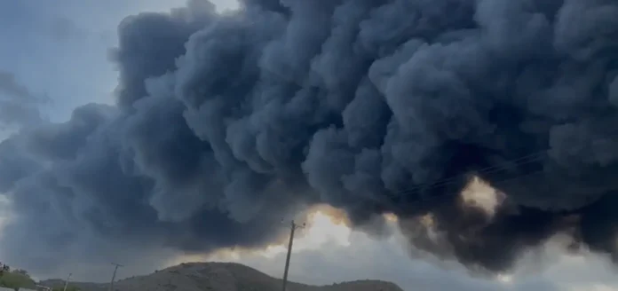 image (61) Bush Fire Erupts in Conaree as Drought Conditions Continue Across St Kitts and Nevis