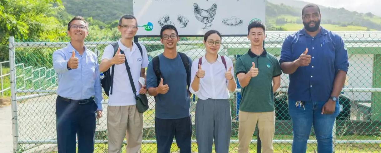 St. Kitts and Taiwan Review Progress of Layer Chicken Development Project