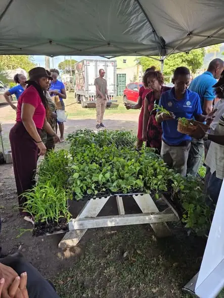 849908006_927874896847822_2038235136706634288_n St. Kitts and Nevis commemorated the World Food Day 2026 and highlighted the importance of food security for the country.